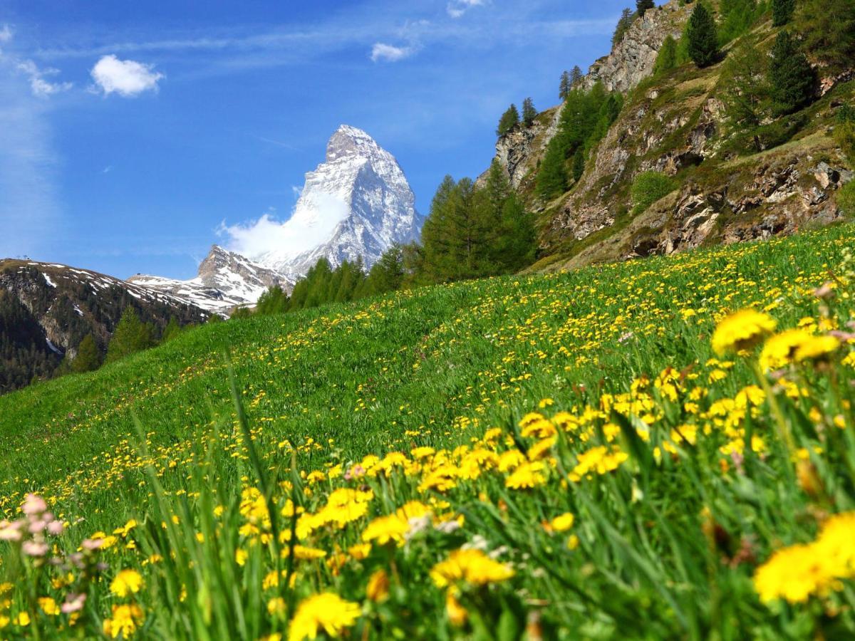 Apartment Sungold-1 By Interhome Zermatt Ngoại thất bức ảnh